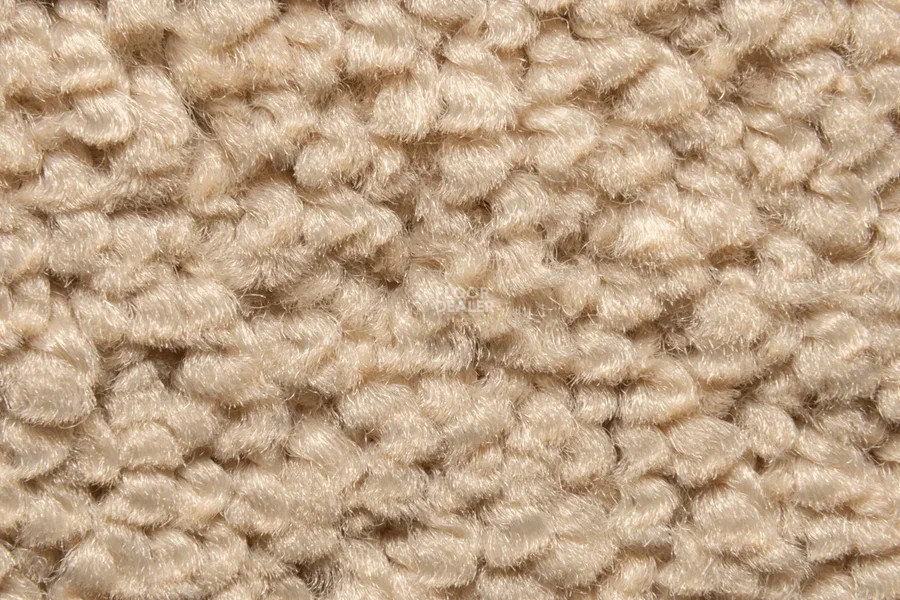 Vorwerk Superior 1067 Mira Vorwerk 8k08 фото 5 | FLOORDEALER